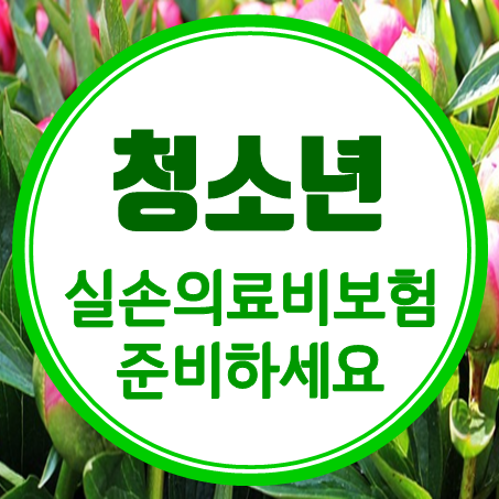  청소년보험, 청소년실비보험 가입하기 전에 꼭 알아야 할 사항들
