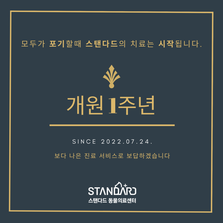  [종료] 개원 1주년 노령견 건강검진 프로모션