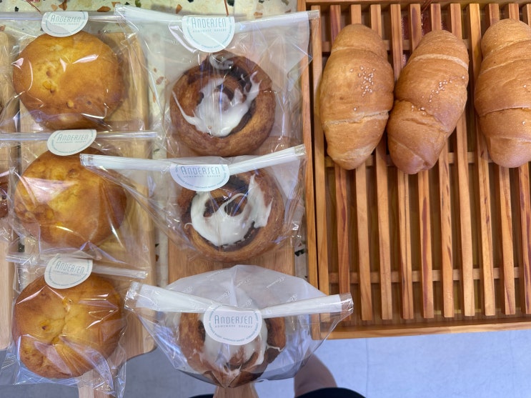  거제도 빵집 안데르센 |  올리브치아바타, 소금빵 (거제 빵지순례): 경남/거제시