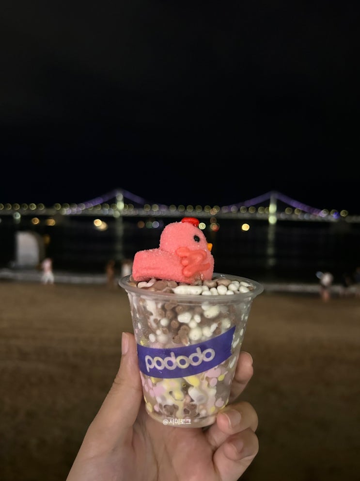  광안리 디저트 맛집 :: 구슬아이스크림 포도도