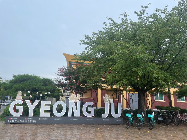  경주 중앙도서관 마제소바 청년감성상점 전시회 고양이 나무 도마 만들기