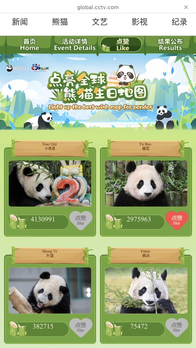  푸바오가 2위라니.. ㅠㅠㅠ