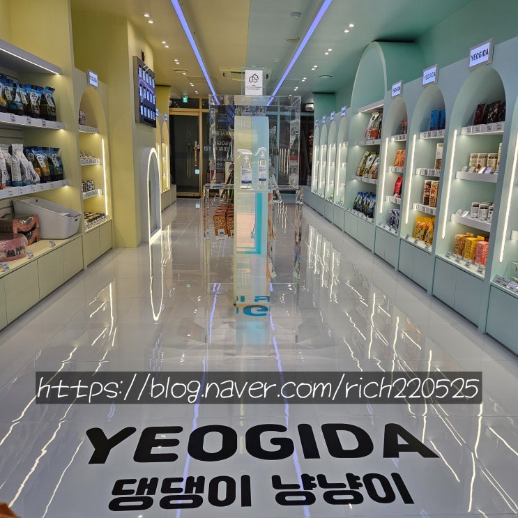  여기다댕댕이 강아지용품점 인천 청라1호점 방문후기