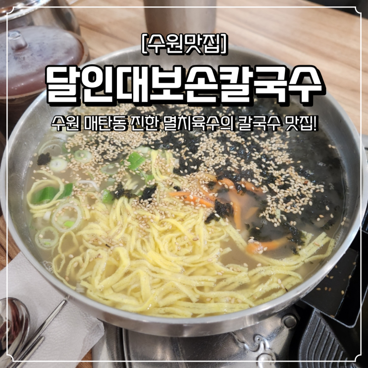 매탄동 점심 맛집 달인대보손칼국수 수원삼성