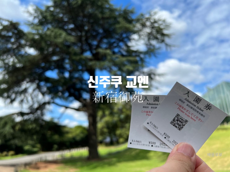  ️일본 도쿄 필수 코스 도심속의 오아시스 <신주쿠 교엔>