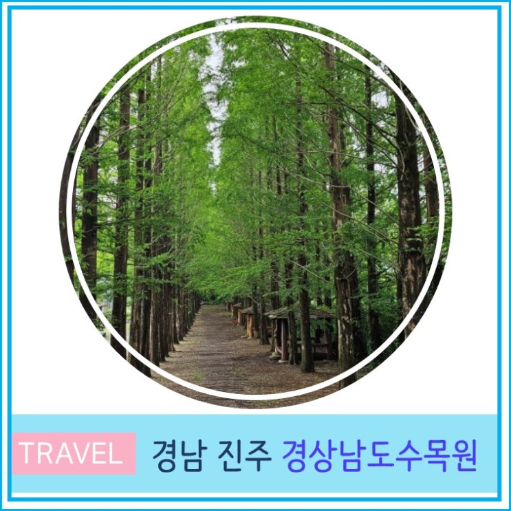  부산 울산 근교 경상남도 수목원 주차 관람료 경남 진주 창원 여행 가볼만한 곳