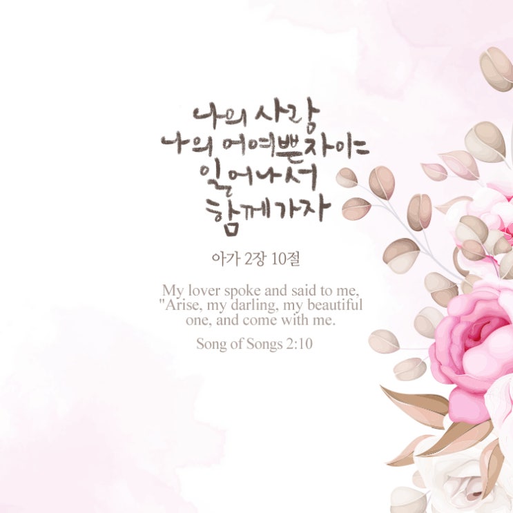  올리벳 캘리그라피 (나의 어여쁜 자야)