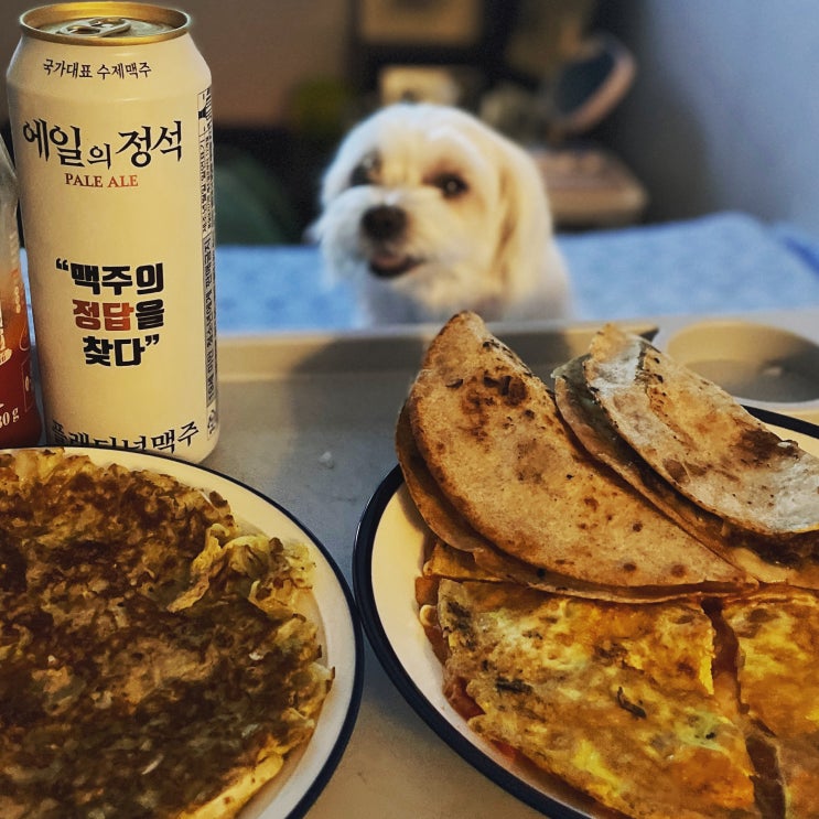  강아지 부침개 비오는날 파전 혼자 먹지 말고 같이 먹자