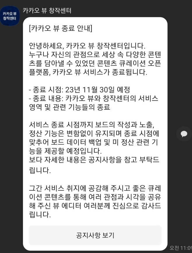  카카오 뷰가 망한 이유