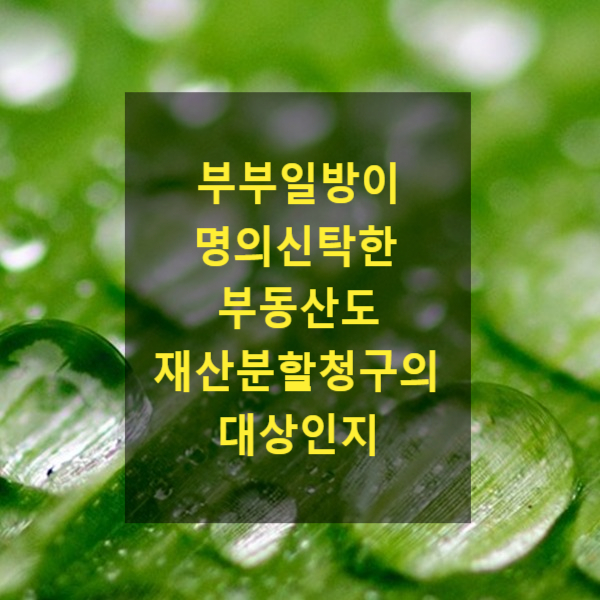  이혼 시 부부일방이 명의신탁한 부동산도 재산분할청구의 대상인지