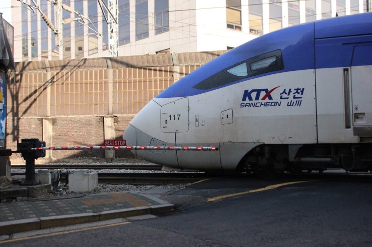  명절 ktx, srt 기차표 사전 예매 팁(실패시 예매방법)