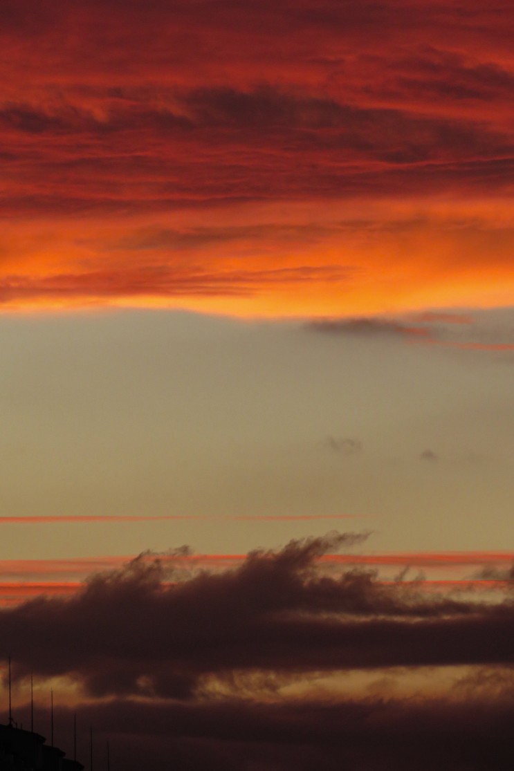 캐논 카메라로 담아본 찰나의 순간, 비 온 후 하늘 그리고 무지개 사진 기록