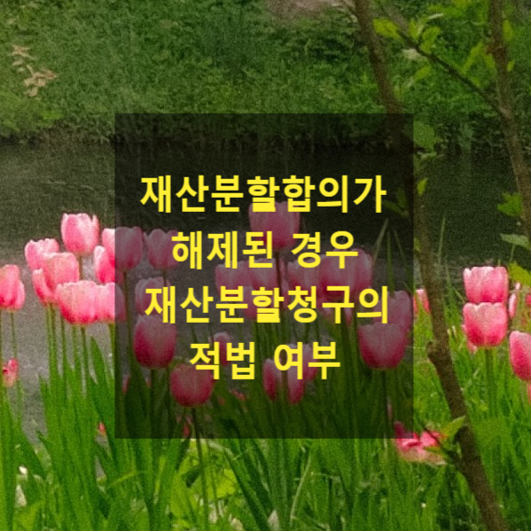  이혼 시 재산분할합의가 해제된 경우 재산분할청구를 할 수 있는지