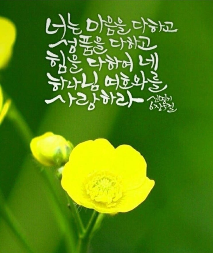 맥스마케터의 아침의성경한마디 신명기6장5절 맥스마케터의 아침의성경한마디 신명기6장5절