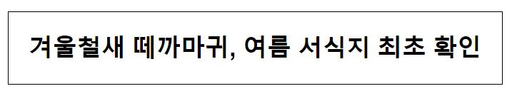겨울철새 떼까마귀, 여름 서식지 최초 확인 겨울철새 떼까마귀, 여름 서식지 최초 확인