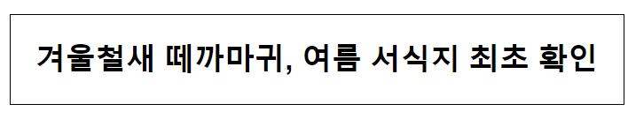 겨울철새 떼까마귀, 여름 서식지 최초 확인