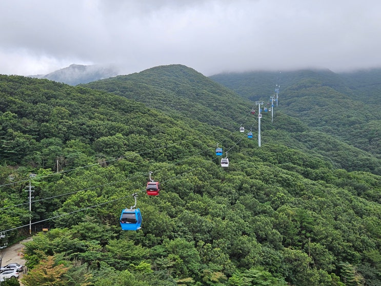 경상남도 거제여행 (거제 파노라마 케이블카, 윤슬전망대, 노자산) 경상남도 거제여행 (거제 파노라마 케이블카, 윤슬전망대, 노자산)