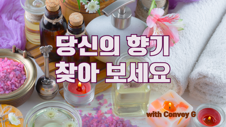  디퓨져와 퍼퓸 섬유향수 페브릭퍼퓸 나의 향기 찾기