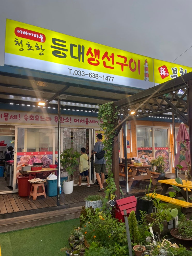  속초 아바이마을 청초항 등대 생선구이