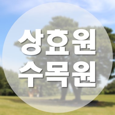 [국내/제주도] 대한민국 최남단에 위치한 수목원 서귀포 상효원