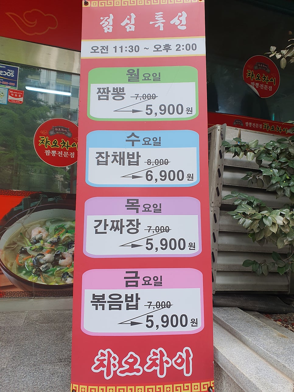 챠오차이 사진 4