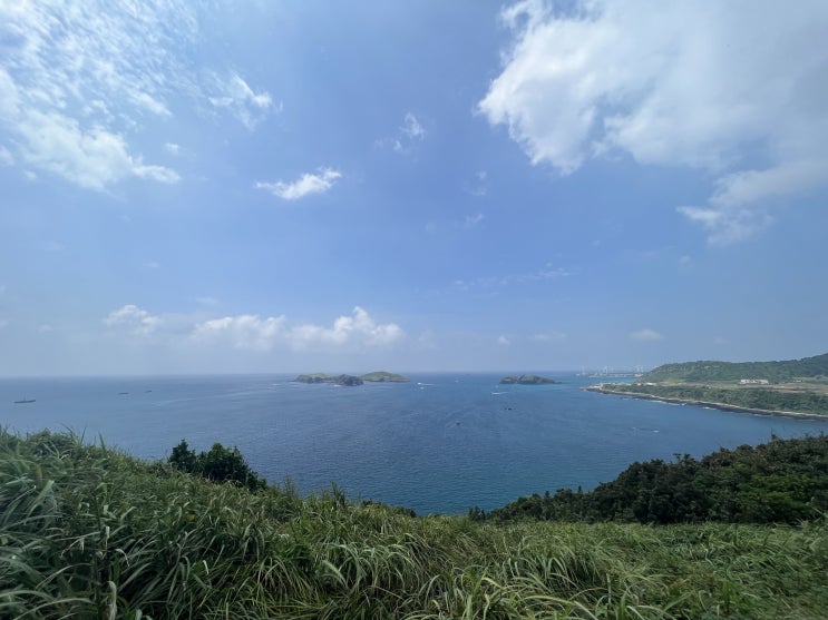  꼭 가봐야할 곳 - 제주도 수월봉 지질질트레일