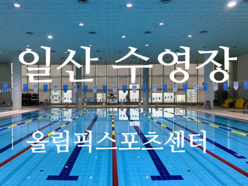 일산 수영장 올림픽스포츠센터 자유수영