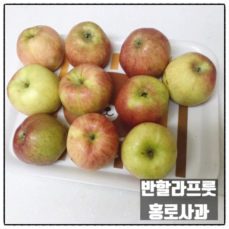  반할라프룻 홍로사과 가정용2kg 맛 후기