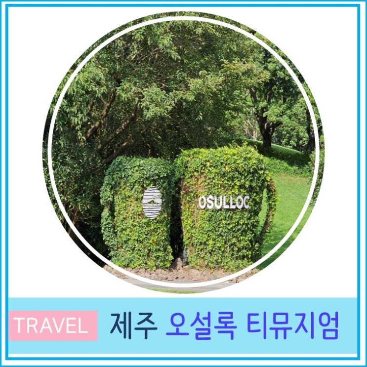  오설록 티 뮤지엄 주차장  입장료 제주 여행 가볼만한 곳 이니스프리 녹차밭