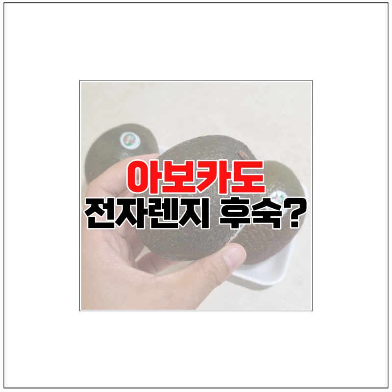 후숙안된 안익은 아보카도 전자렌지 익히는법 전자레인지 후숙 괜찮나