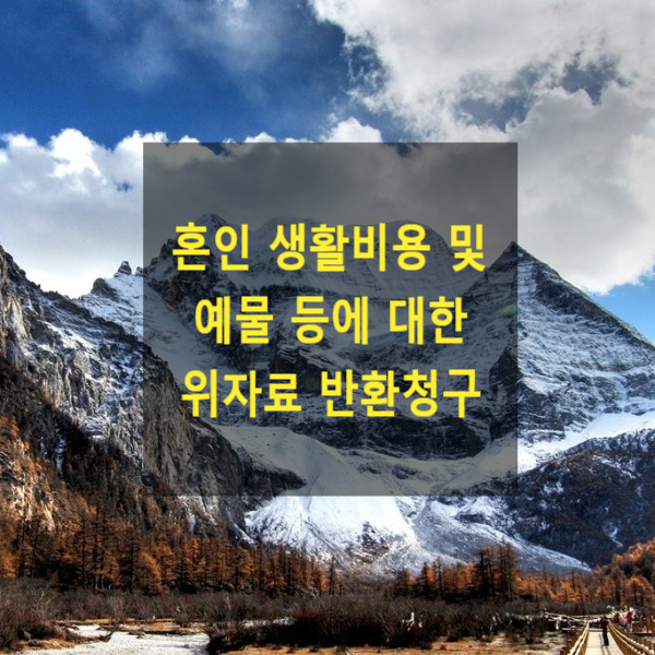 이혼 시 혼인 생활비용 및 예물 등에 대한 반환청구, 위자료 청구