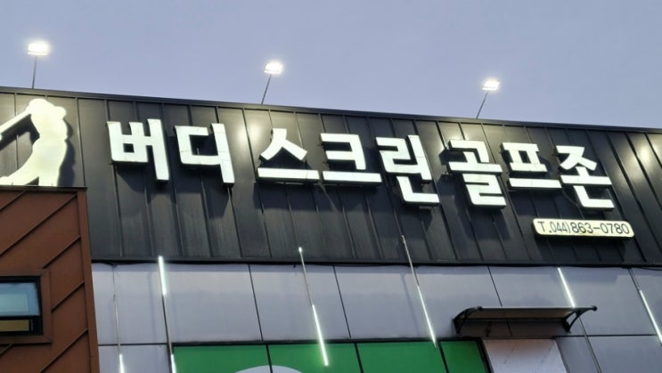  조치원 스크린골프 골린이 첫입성기 버디스크린골프