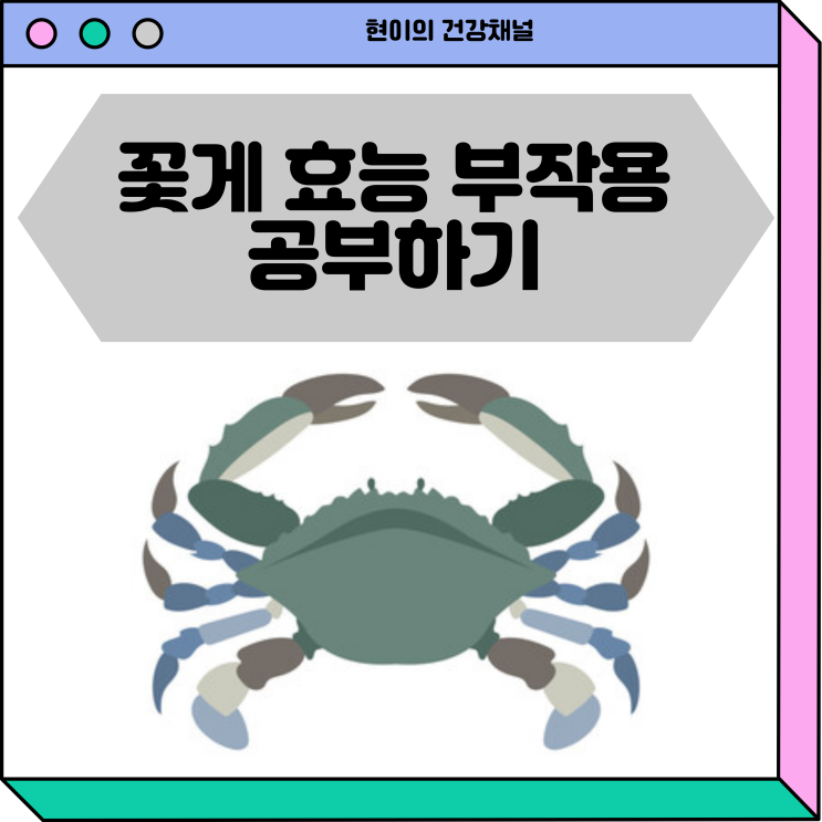  이탈리아는 버리는 꽃게 효능 공부하기!