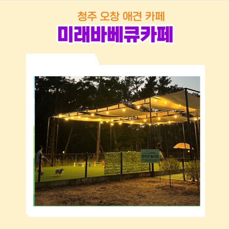  오창애견카페 아이들과 강아지가 뛰어 놀 수 있는 미래바베큐카페