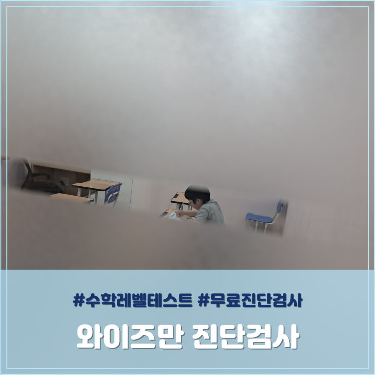  와이즈만 진단검사 초4 수학레벨테스트