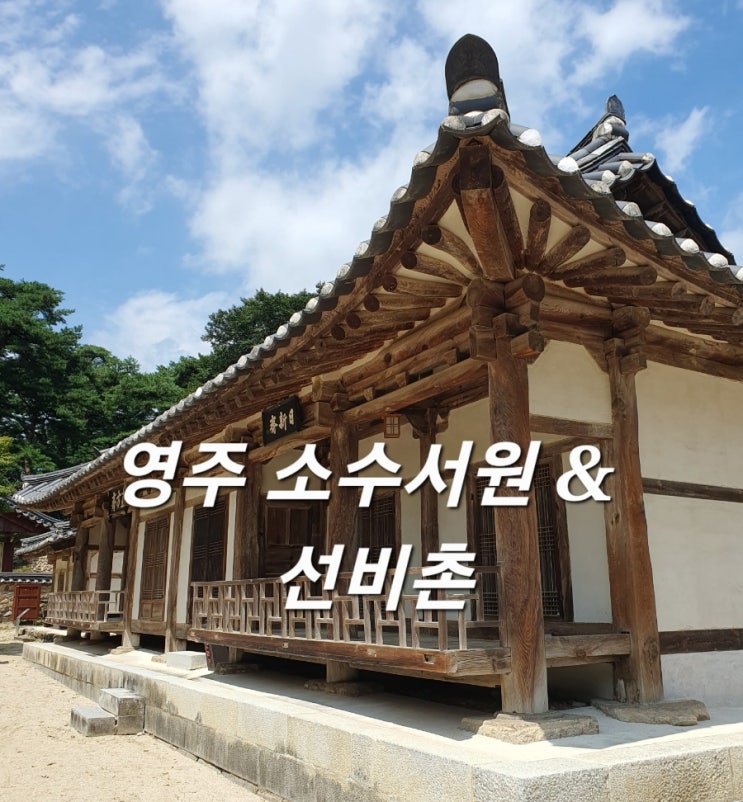  영주여행 영주 소수서원 & 선비촌 :: 산책과 사진찍기 좋은곳