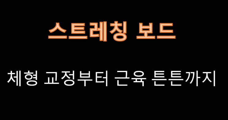  스트레칭보드로 체형 교정부터 근육 튼튼까지