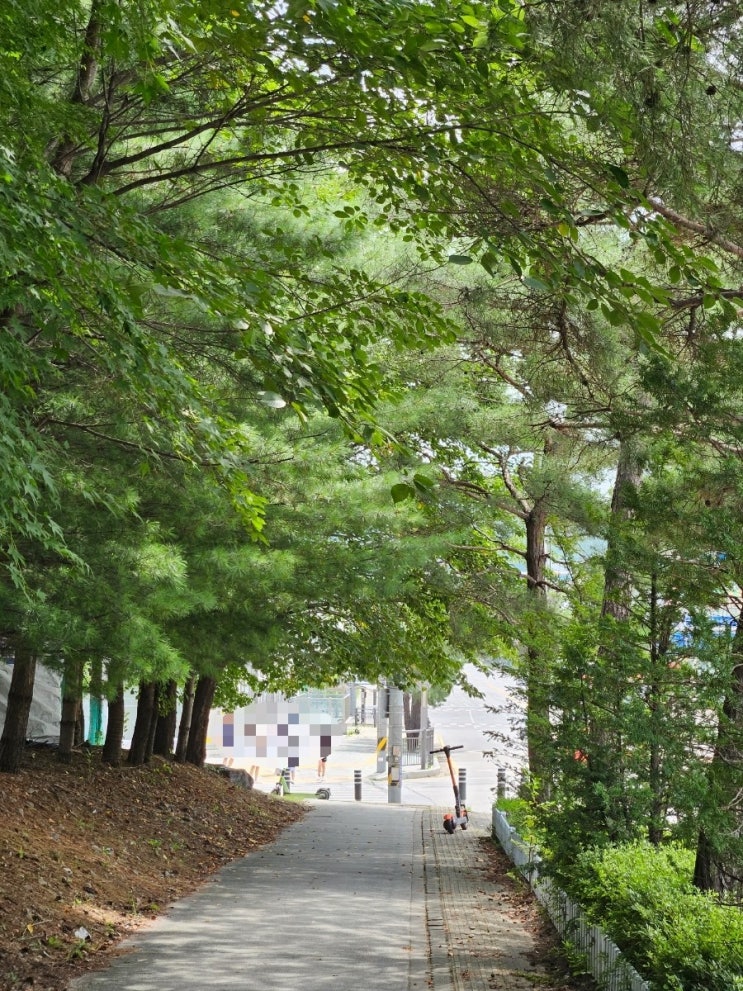  4호선 종점 뚜벅이 여행 | 진접역 봉선사 광릉숲 생물권보전지역