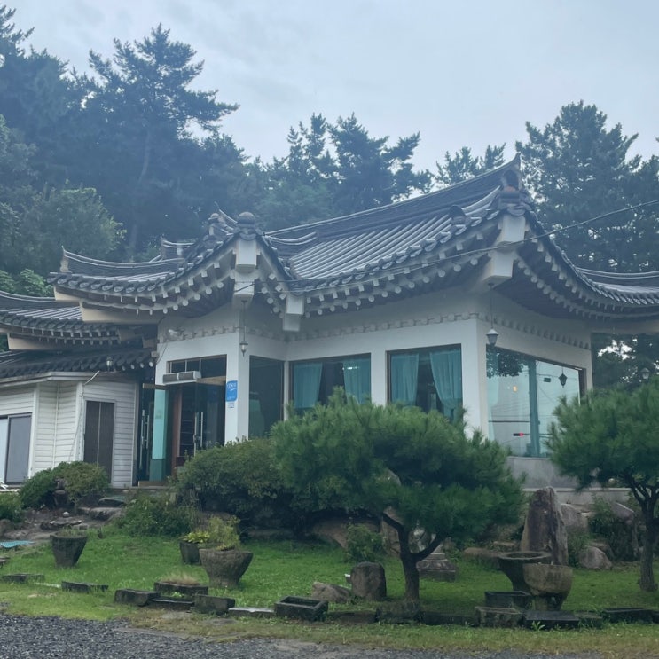  미담한정식 | 경주 보문호수 한정식 내돈내산 맛집 추천