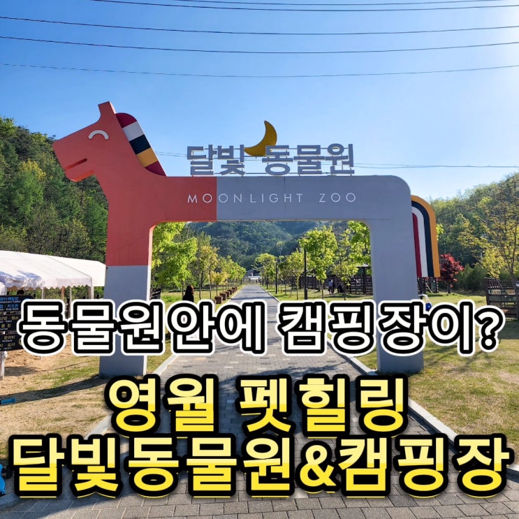  #83 영월 펫힐링달빛동물원&캠핑장 - 아이들의 최애 캠핑장, 동물원 캠핑장(배치도, 예약 방법)