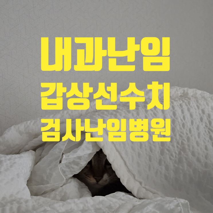  광주 전남 나주 갑상선 수치까지 봐주는 난임병원 공유