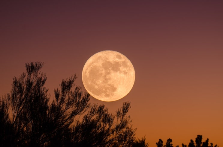 8월 마지막 날 5년만에 '슈퍼블루문' 뜬다…"올해 가장 큰 둥근달"