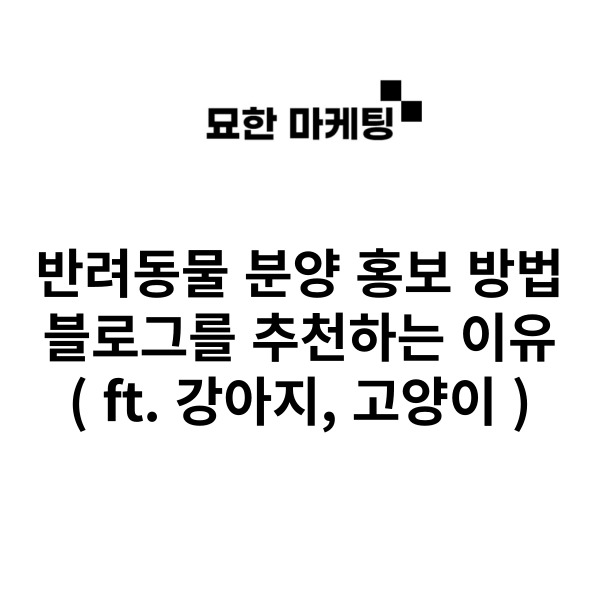  반려동물 분양 홍보 방법, 블로그를 추천하는 이유. ( ft. 강아지, 고양이 )