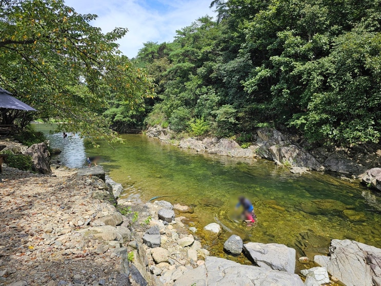  전주 근교 완주 동상계곡 물놀이 애견 동반 가능한 대추나무산장 평상, 펜션 가격 솔직후기