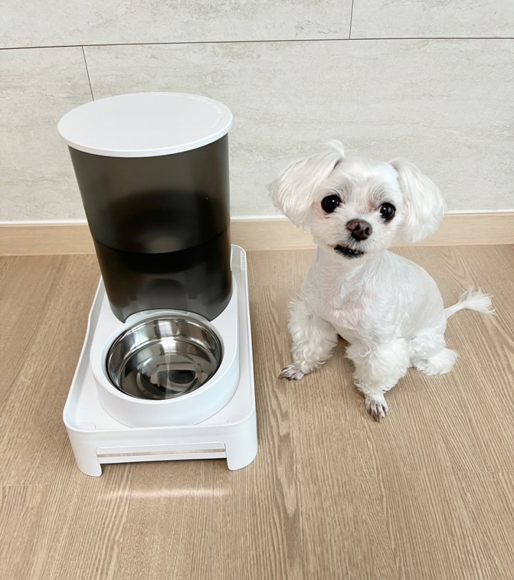  자동급식기 강아지 고양이 바비온 와이파이형 식기 급채 공복토 예방