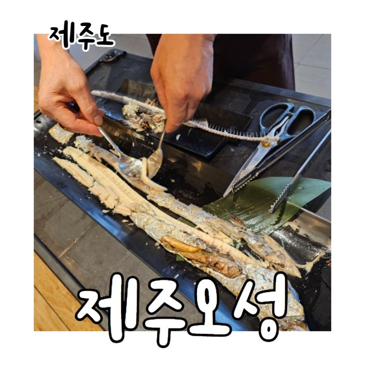  중문 갈치조림과 갈치구이를 한 상에! 제주오성 재방문 내돈내산