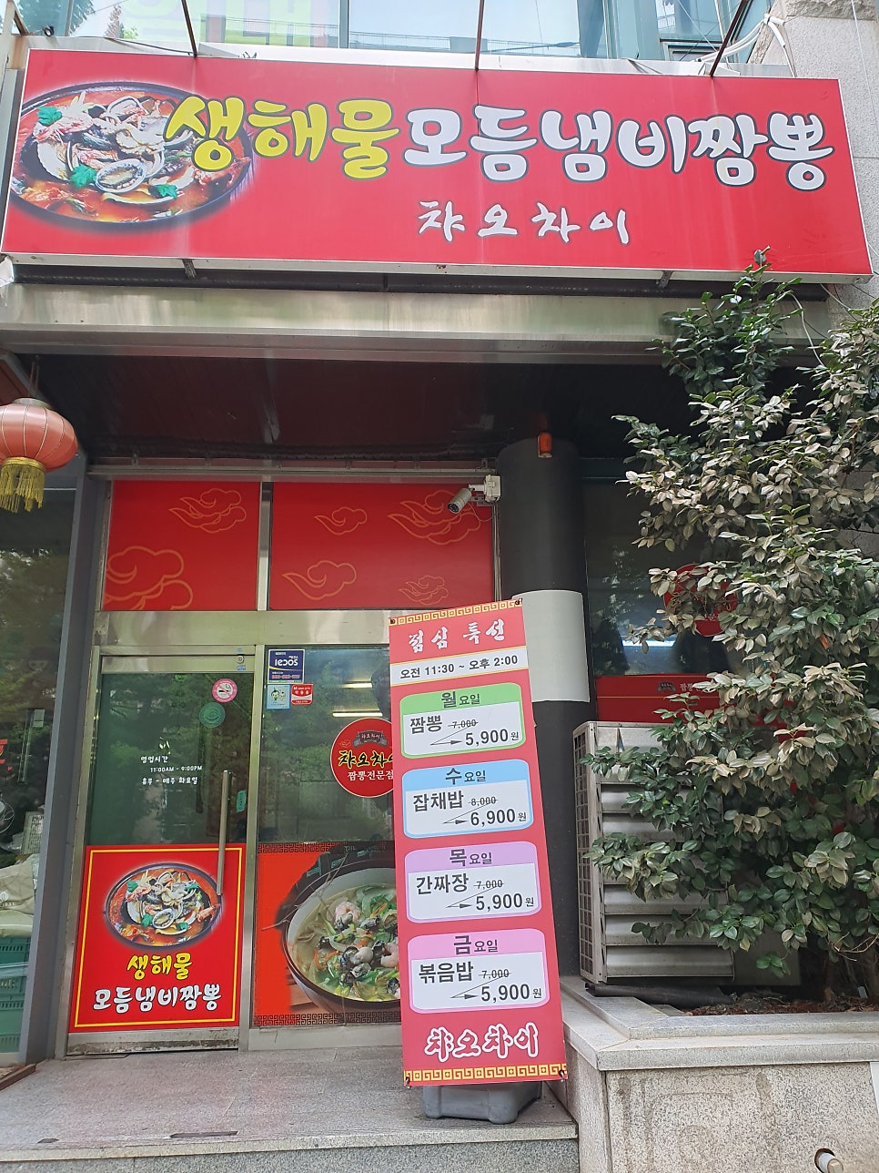 챠오차이 사진 3