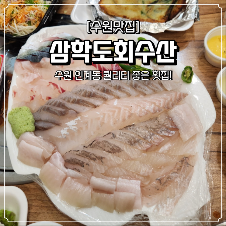  수원 인계동 횟집 삼학도회수산 고등어회