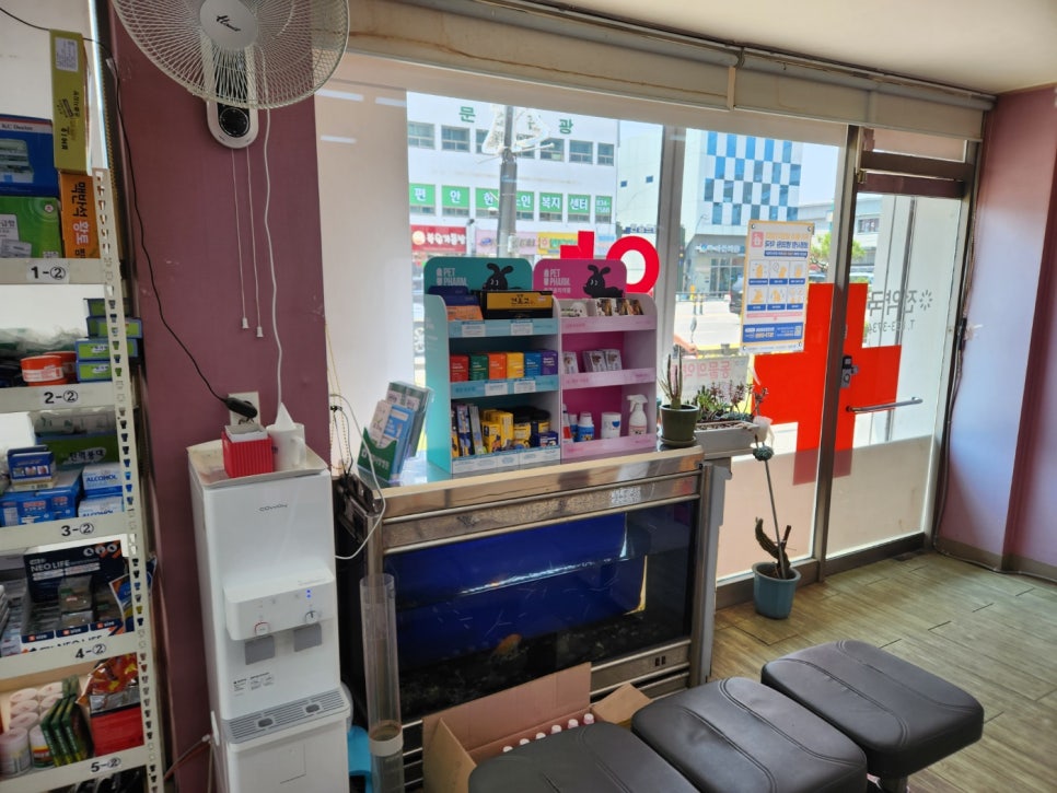 전약국 사진 3