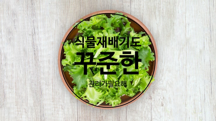  식물재배기도 꾸준한 관리가 필요해